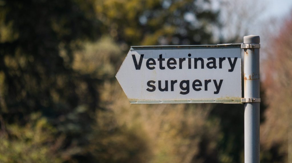 veterinary surgery sign