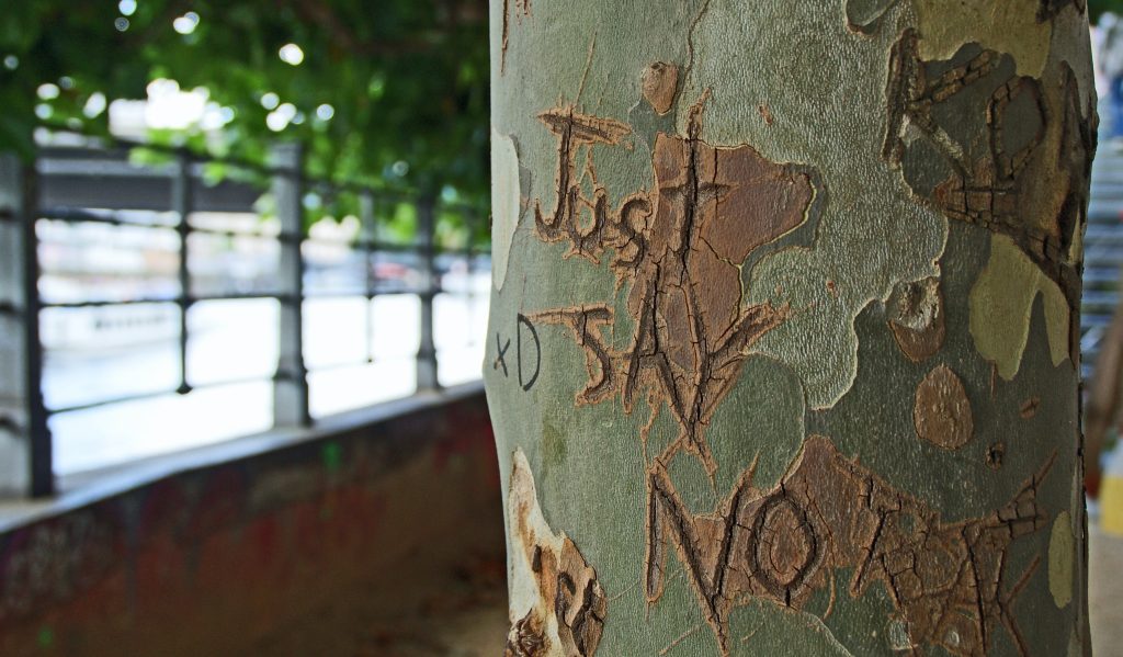 Copac scrijelit cu un mesaj sugestiv