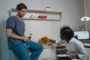 2 doctors and a dog